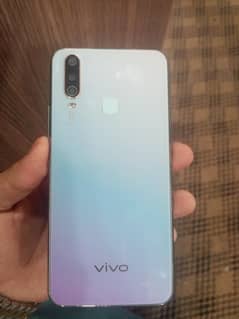 vivo