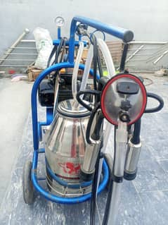 Milking