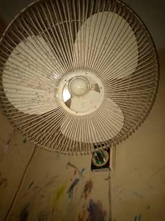 pak fan