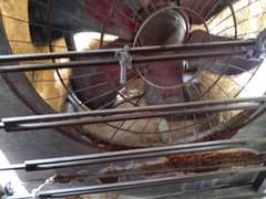 bhi  pure copper wine ha fast speed ha