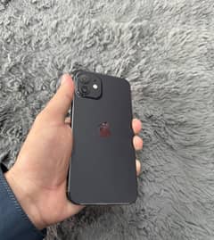 iPhone 12