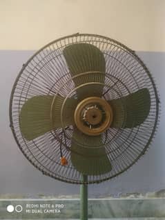 Fans