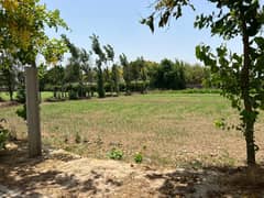 8 Kanal Farmhouse Land for Sale Prime Location on Thethar Bedian Road.
