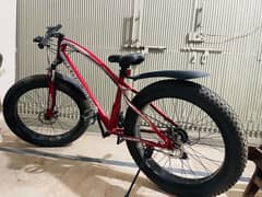 Fat tyre ful size bicycle (Dolphin river) with shammano gear set