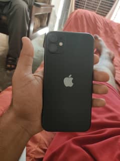 iPhone 11 jv