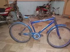 Phoenix frame bicycle for sale