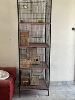 Birds cages