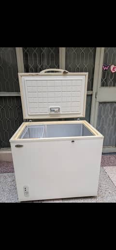 waves deep freezer single door