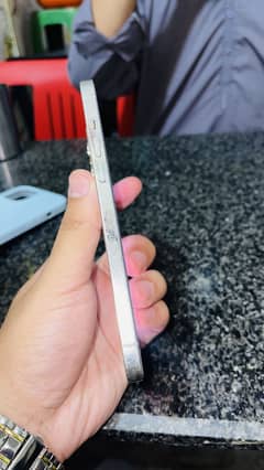 12 pro max