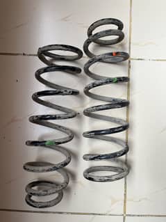 Back springs original