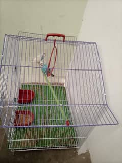 Australian Parrots with Cage