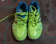 Badminton