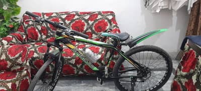 Speedo Bicycle 26"