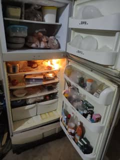 PEL Refrigerator - Used, in good working condition