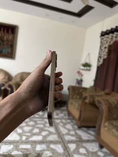 I Phone 13 Pro Max (JV)