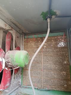air cooler