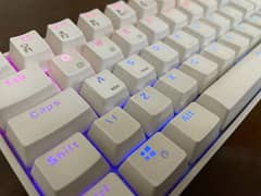 Royal kludge Mechanical Keyboard