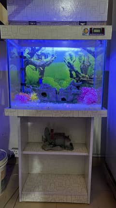 Aquarium