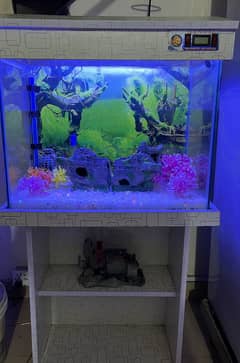 Aquarium