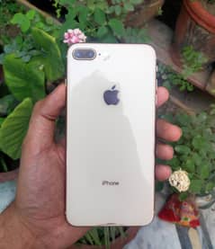 IPHONE 8 Plus