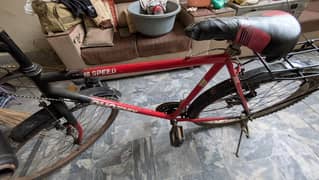 Phoenix Cycle