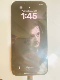 iPhone 13pro Max