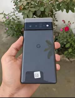 google pixel 6 pro