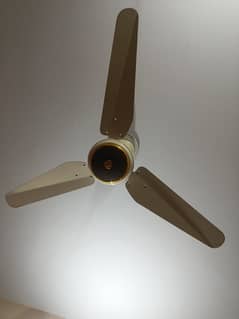 Celling