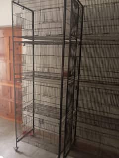 parrots cage