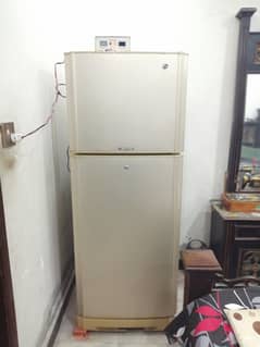 pel jumbo fridge