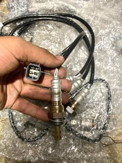 oxygen sensor