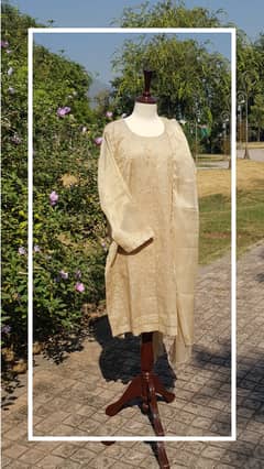 Organza 3 piece stitched fancy suit