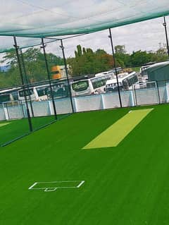 Cricket