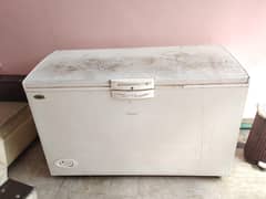 Freezer One year used
