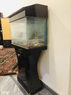 Aquarium in perfect condition and affordable price