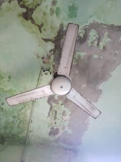 ceiling