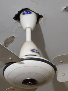 PakFan Ceiling Fan