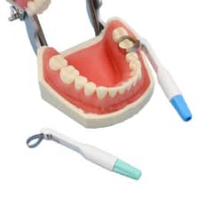 need dental surgeon  male and female