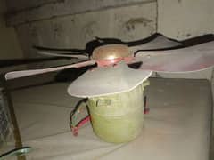 cooler motor