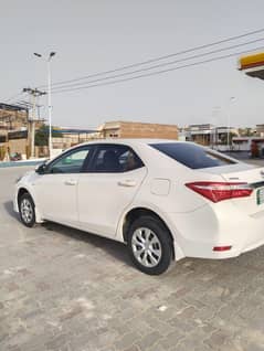 Corolla XLI 18/19