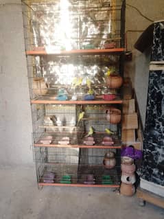 all setup for sale