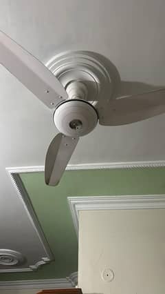 Millat ceiling fan