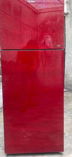 Haier Fridge refrigerator