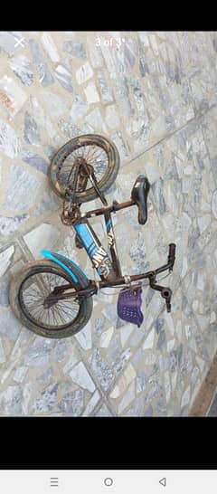 baby cycle