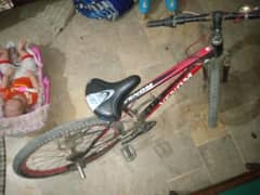 cycle