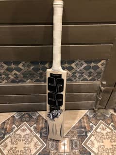 Cricket