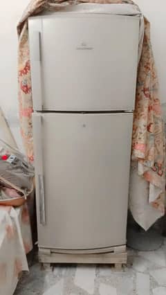 fridge