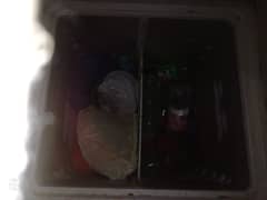 Us deep freezer waves compeny