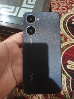 vivo