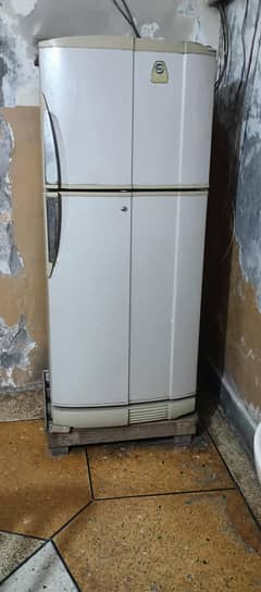 Pel Fridge urgent Sale